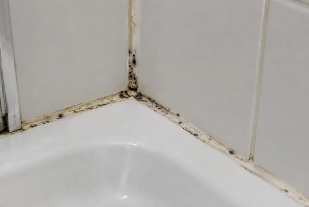Kitbedrijf Garderen – beschimmelde kitranden